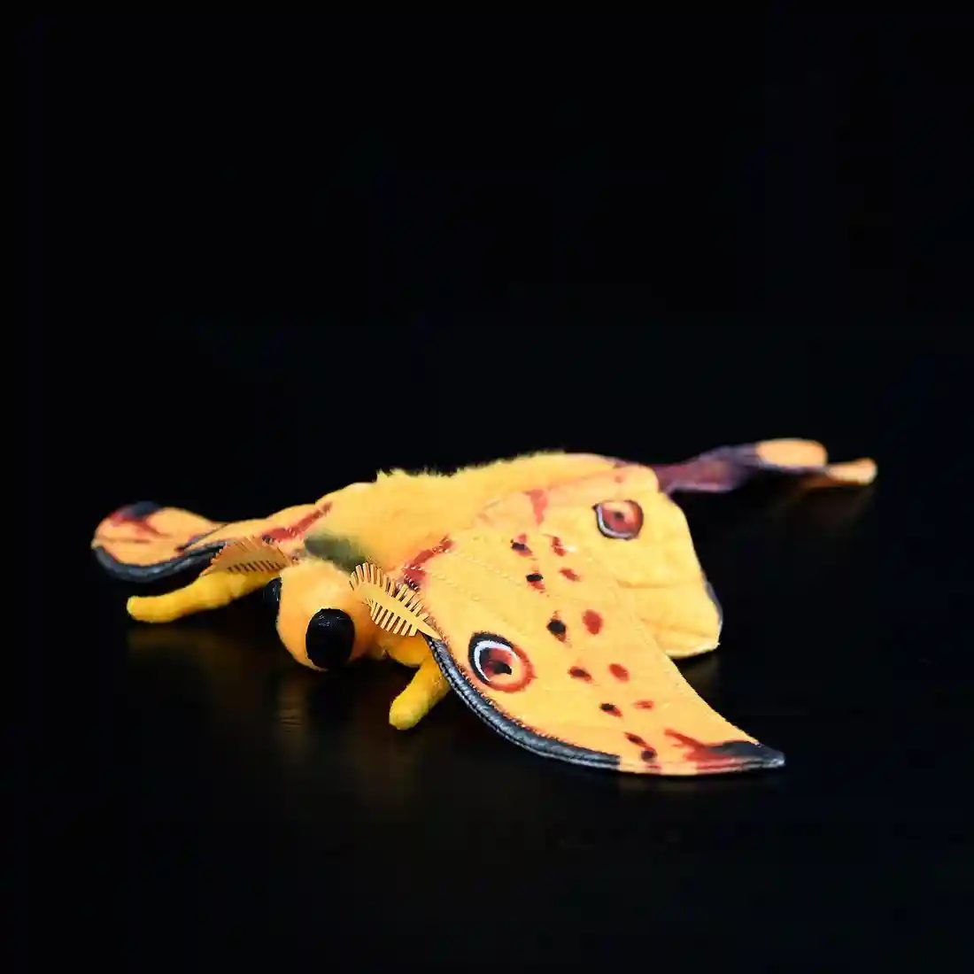 Tiancan Moth