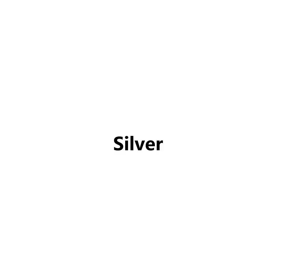 Silver-2 Birthstone