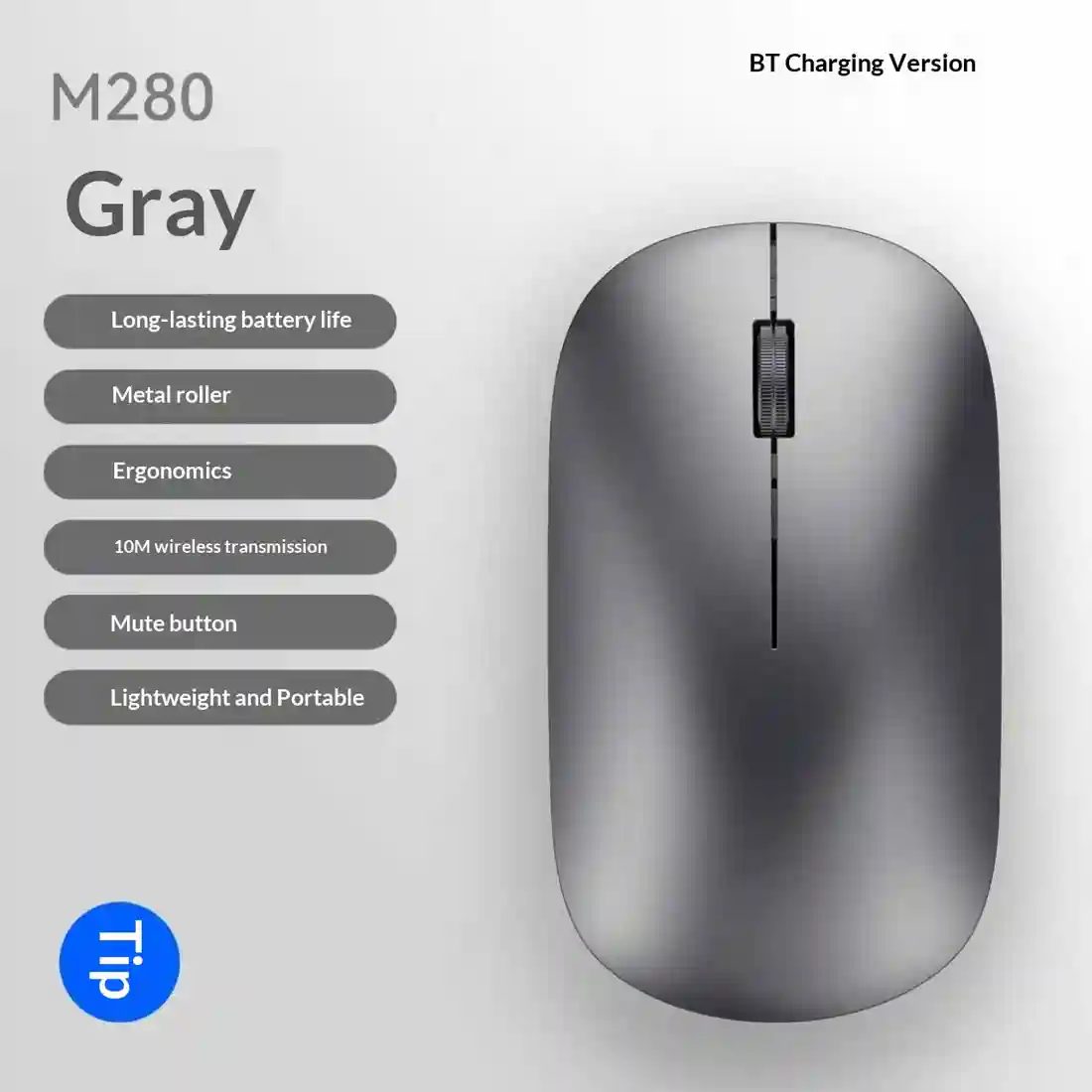 Metallic Gray-Model 2