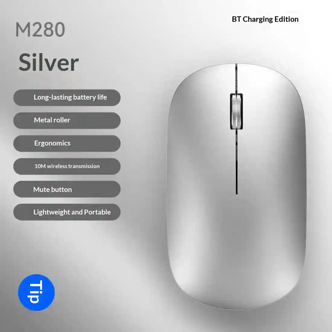 Metallic Silver-Model 2