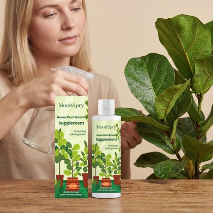 Indoor Plant Growth Nutrient Solution
