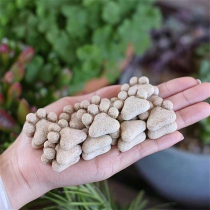 Garden Trail Stone Outdoor Decorative Stone