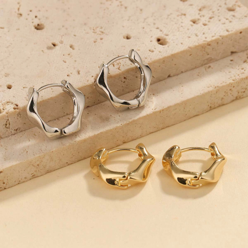 Smooth-surfaced Irregular Geometric Earrings For Women